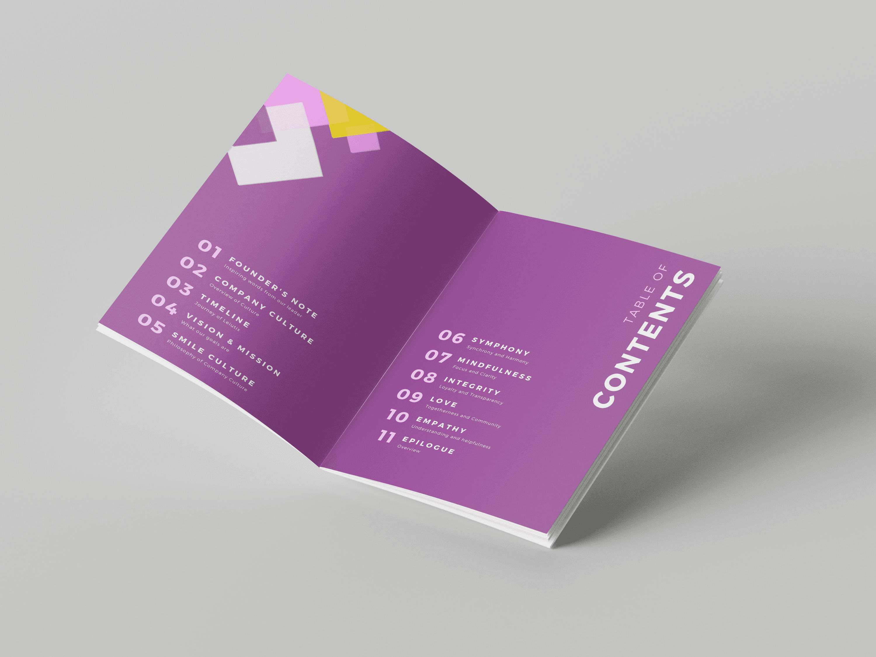 Leiutis Brand Identity Design 10