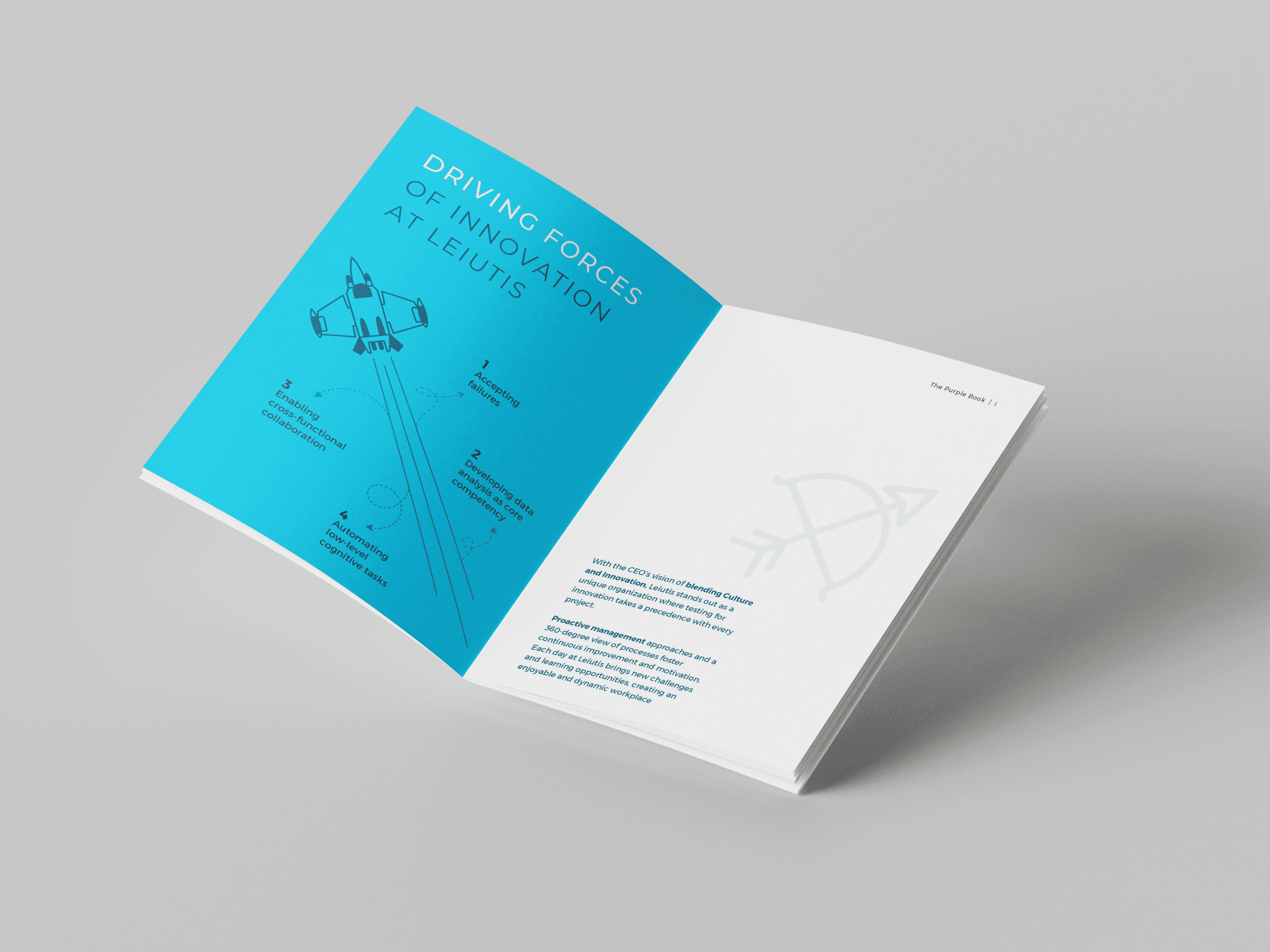 Leiutis Brand Identity Design 16